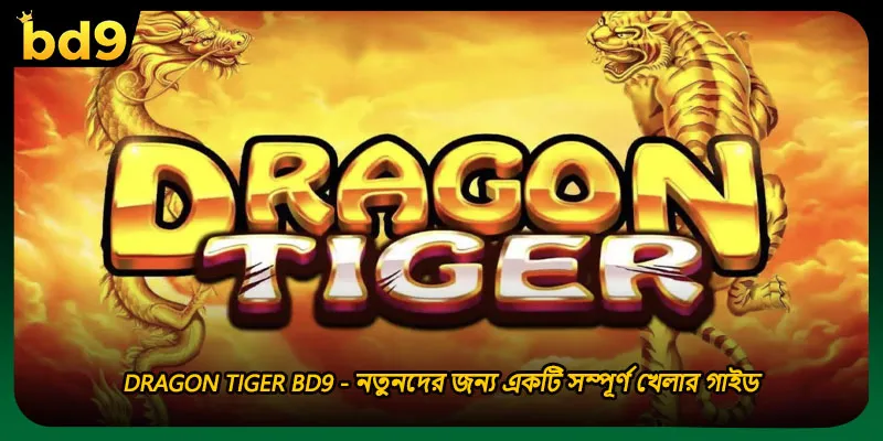 Dragon Tiger BD9 - নতুনদের জন্য একটি সম্পূর্ণ খেলার গাইড